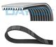 MULTIRIEM DAYCO 9PK1200HD